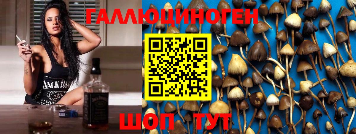 Галлюциногенные грибы MAGIC MUSHROOMS Котовск