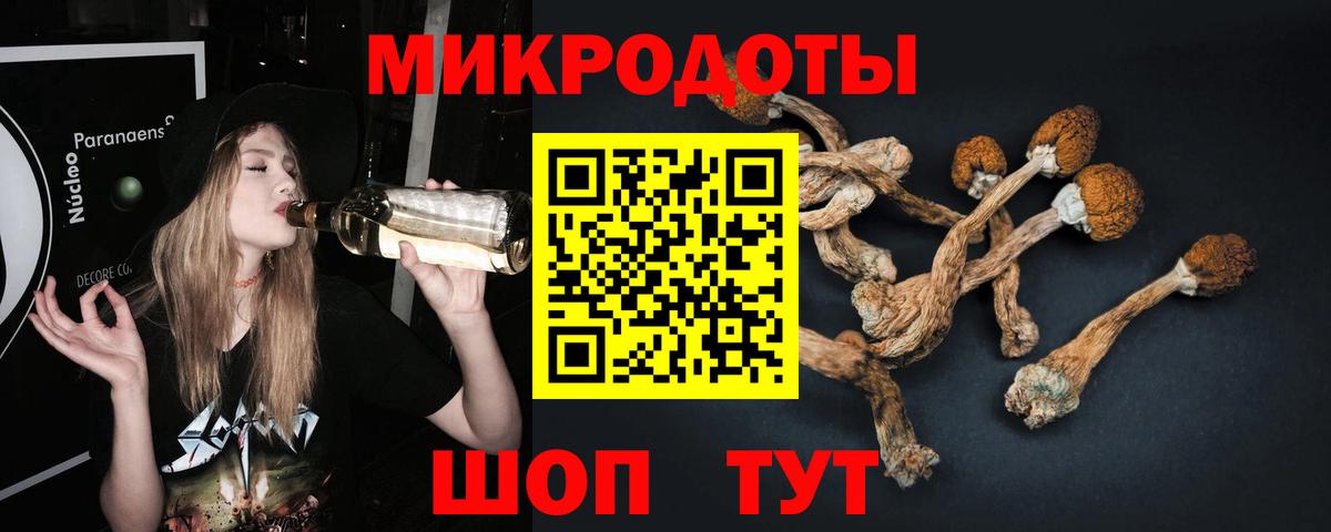 Галлюциногенные грибы Psilocybe  купить наркотик  Котовск  Вход с VPN 