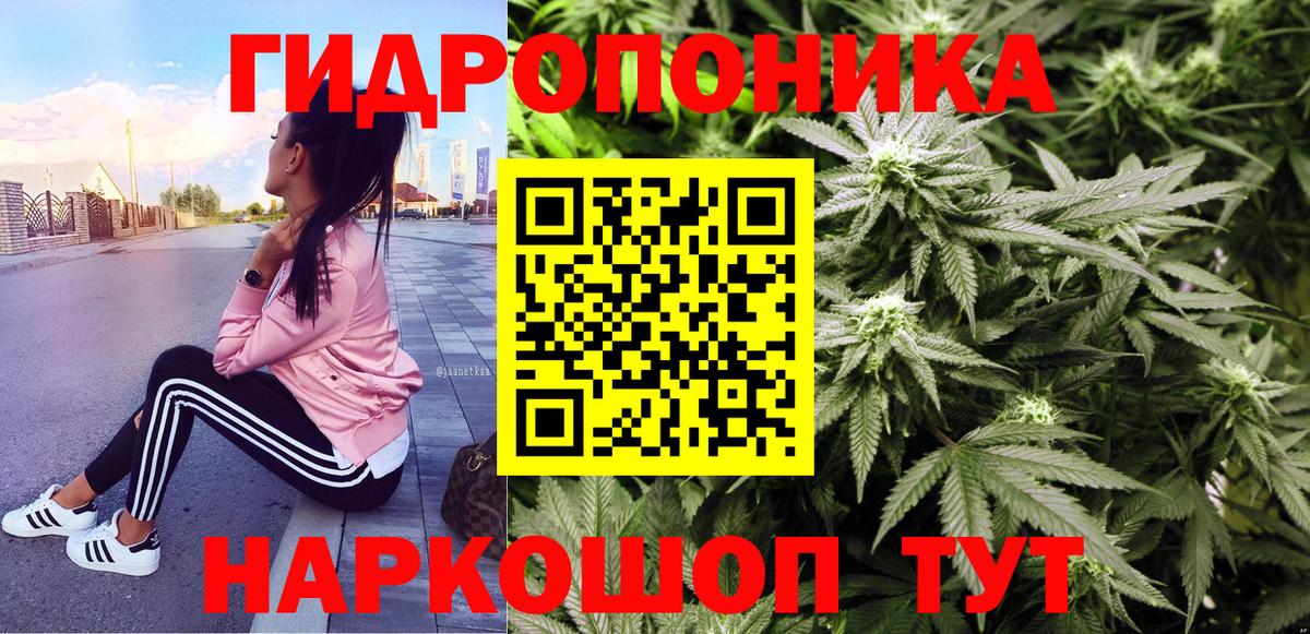 Канабис ГИДРОПОН  Вход с VPN  Котовск  Бошки Шишки White Widow  МАРИХУАНА план 